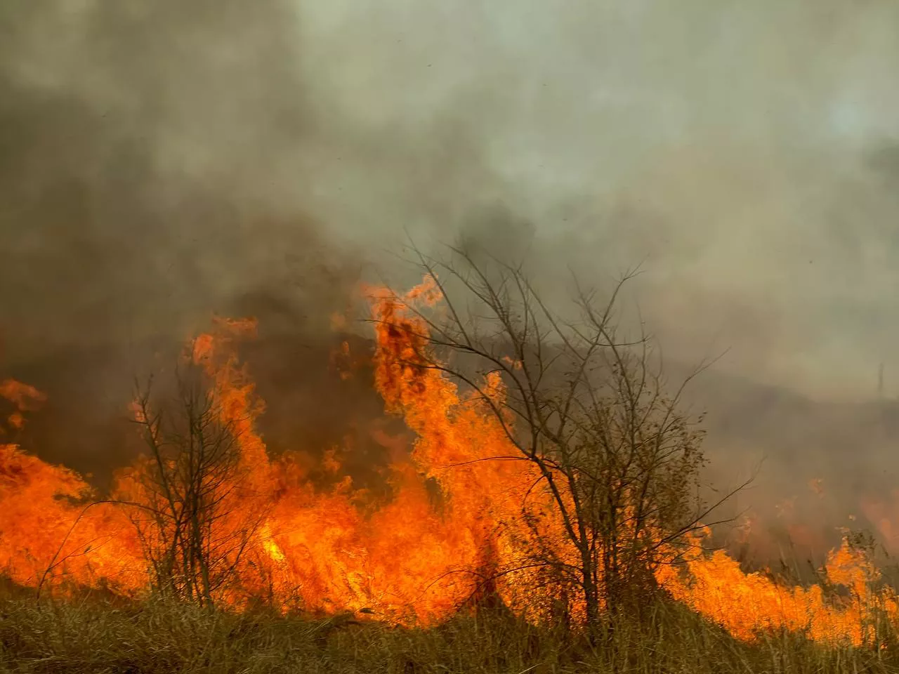 РБК Приморье