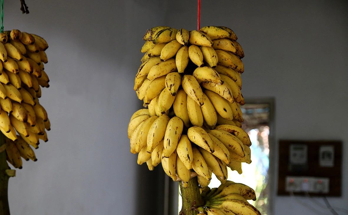 Максим Константинов / Global Look Press