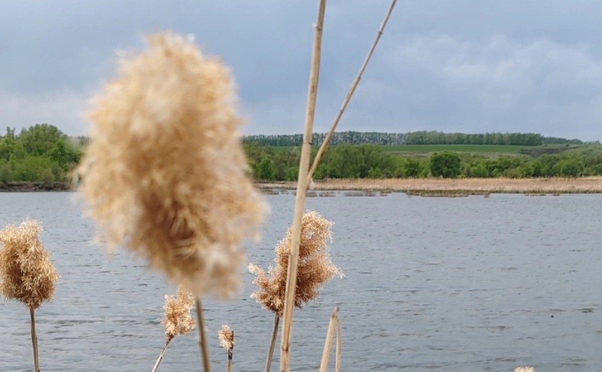 РБК Черноземье 