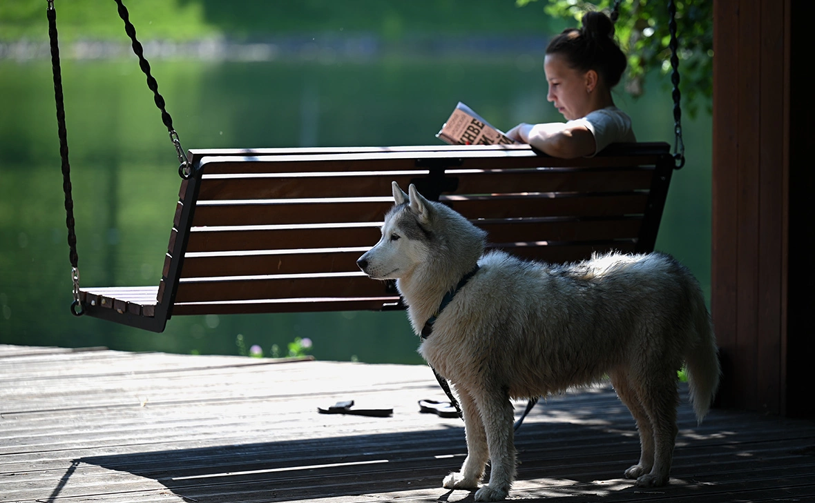Рамиль Ситдиков / РИА Новости
