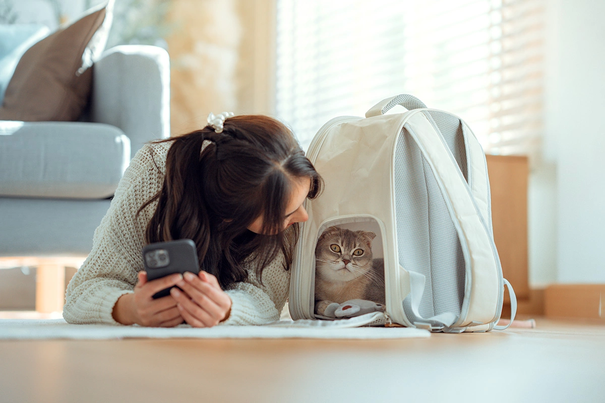 Когда питомец привыкнет к переноске в квартире, можно начинать выходить с ней сначала в подъезд, а потом и из дома
