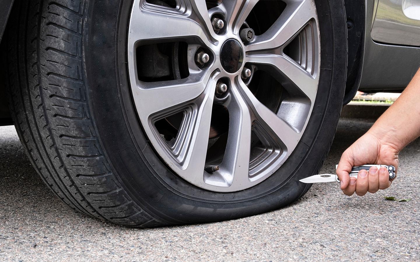 Фото: Sergey Dudikov / Shutterstock / FOTODOM