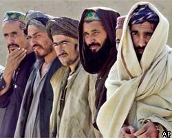В Афганистане арестовывают умеренных талибов