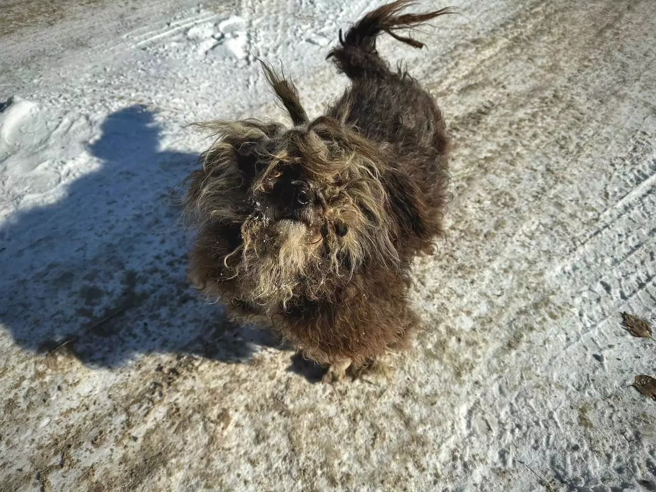 РБК Приморье