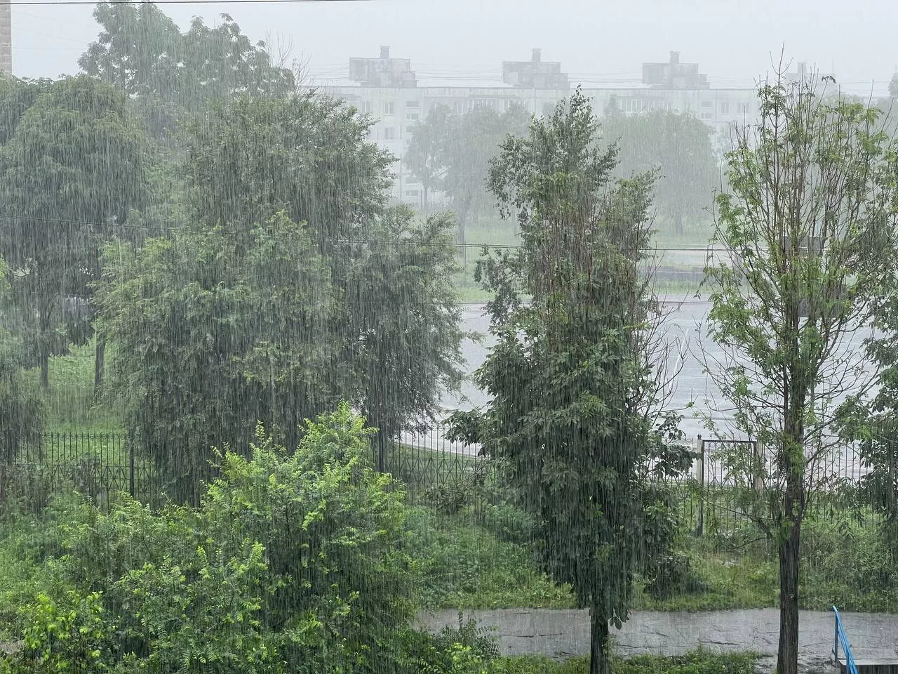 РБК Приморье