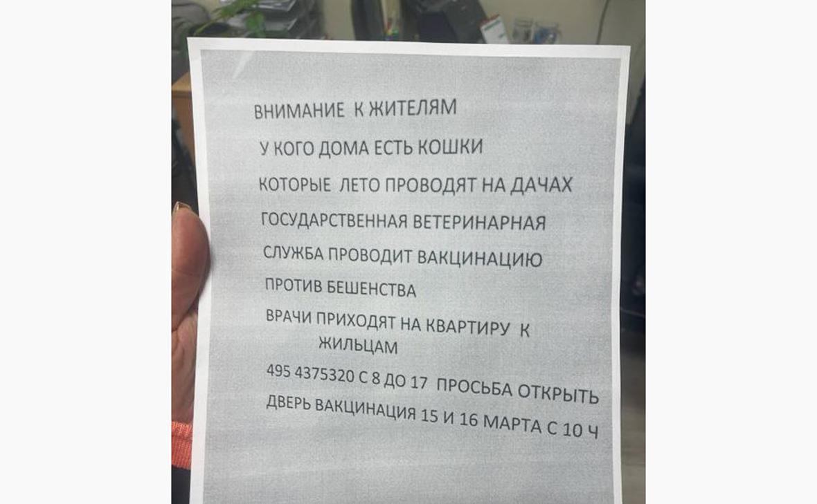 Россиян предупредили о схеме мошенников с вакцинацией от бешенства