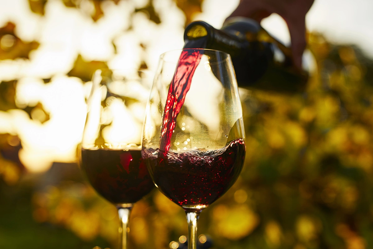 Умеренное употребление красного вина может снизить риск возникновения сахарного диабета второго типа
