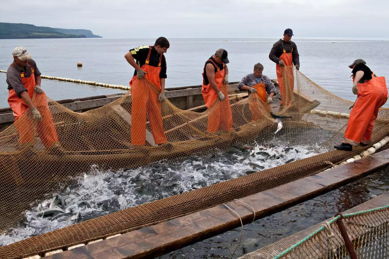 Правительство Сахалинской области
