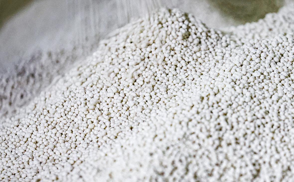 Фото:Петр Ковалев / ТАСС