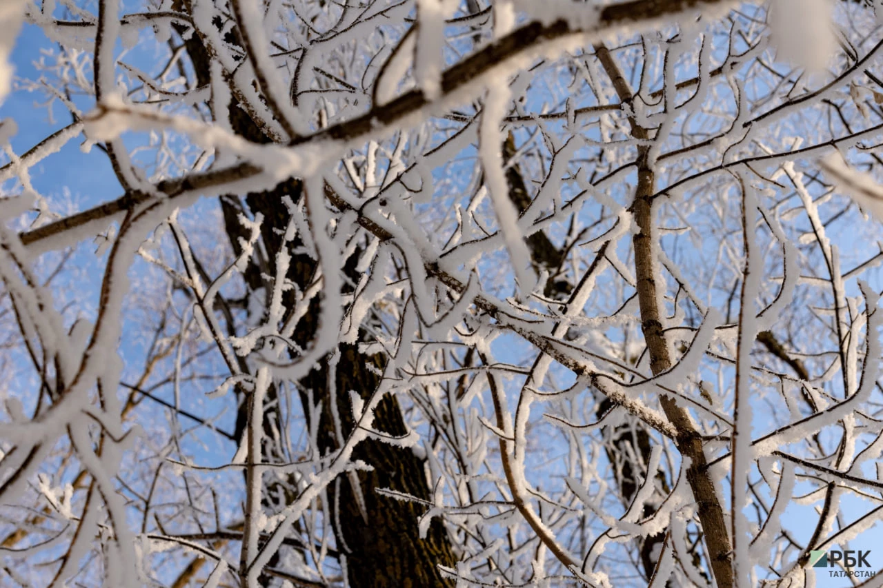 РБК Татарстан