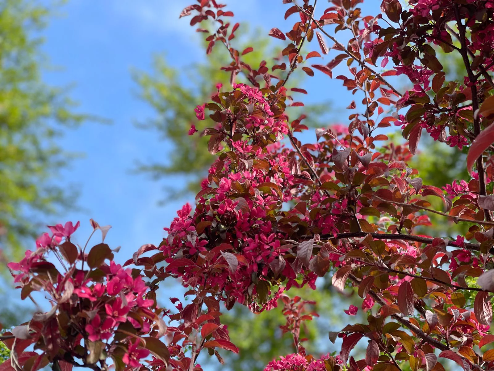 РБК Приморье