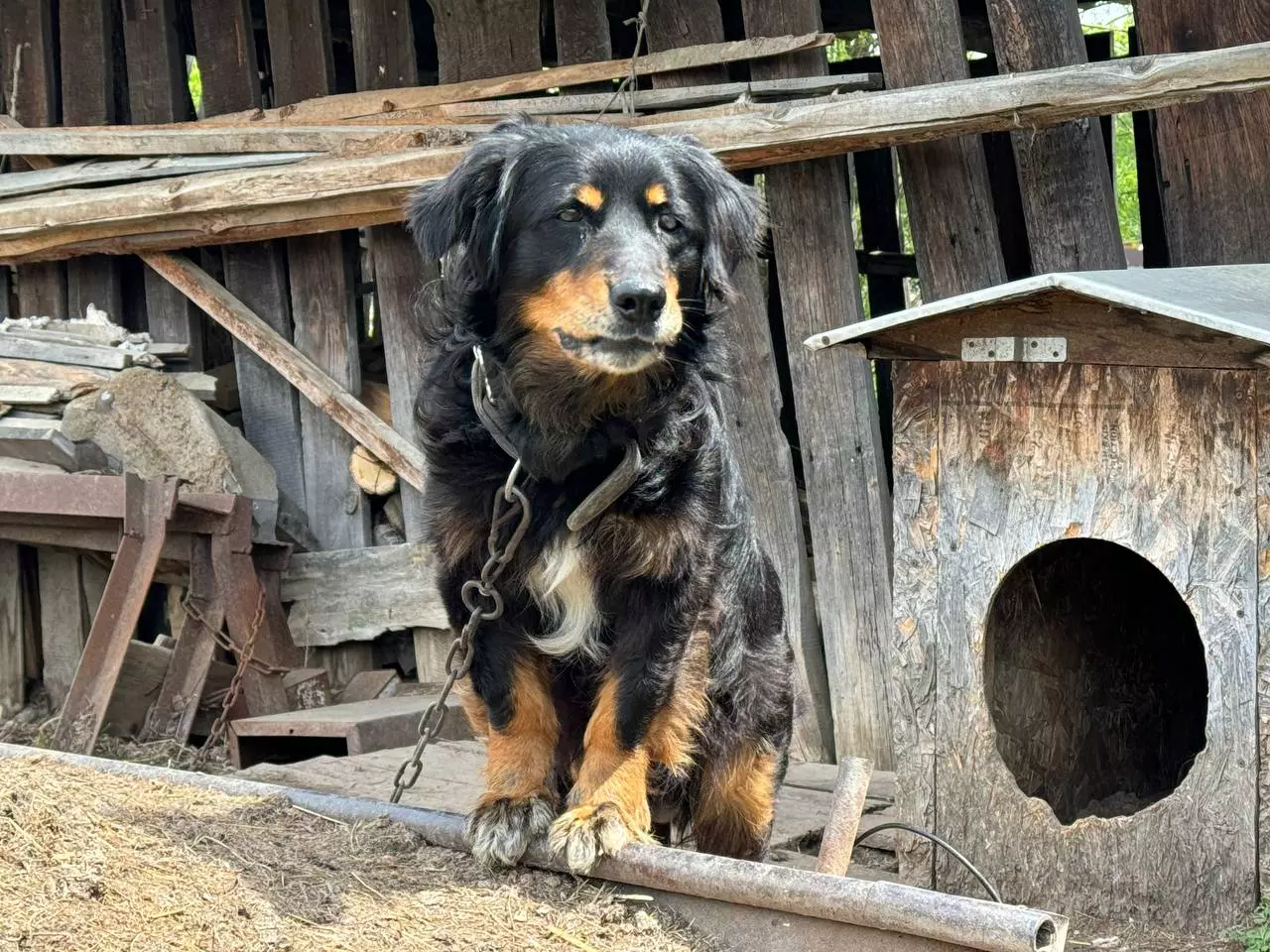 РБК Приморье