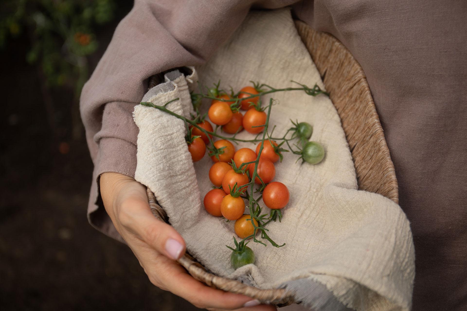 &laquo;Ферма М2&raquo;