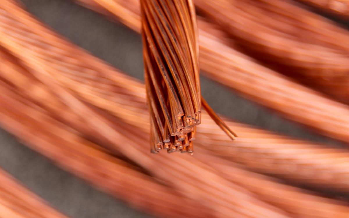 Фото: Shutterstock