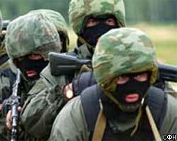 В Шалинском районе Чечни обезврежена база боевиков