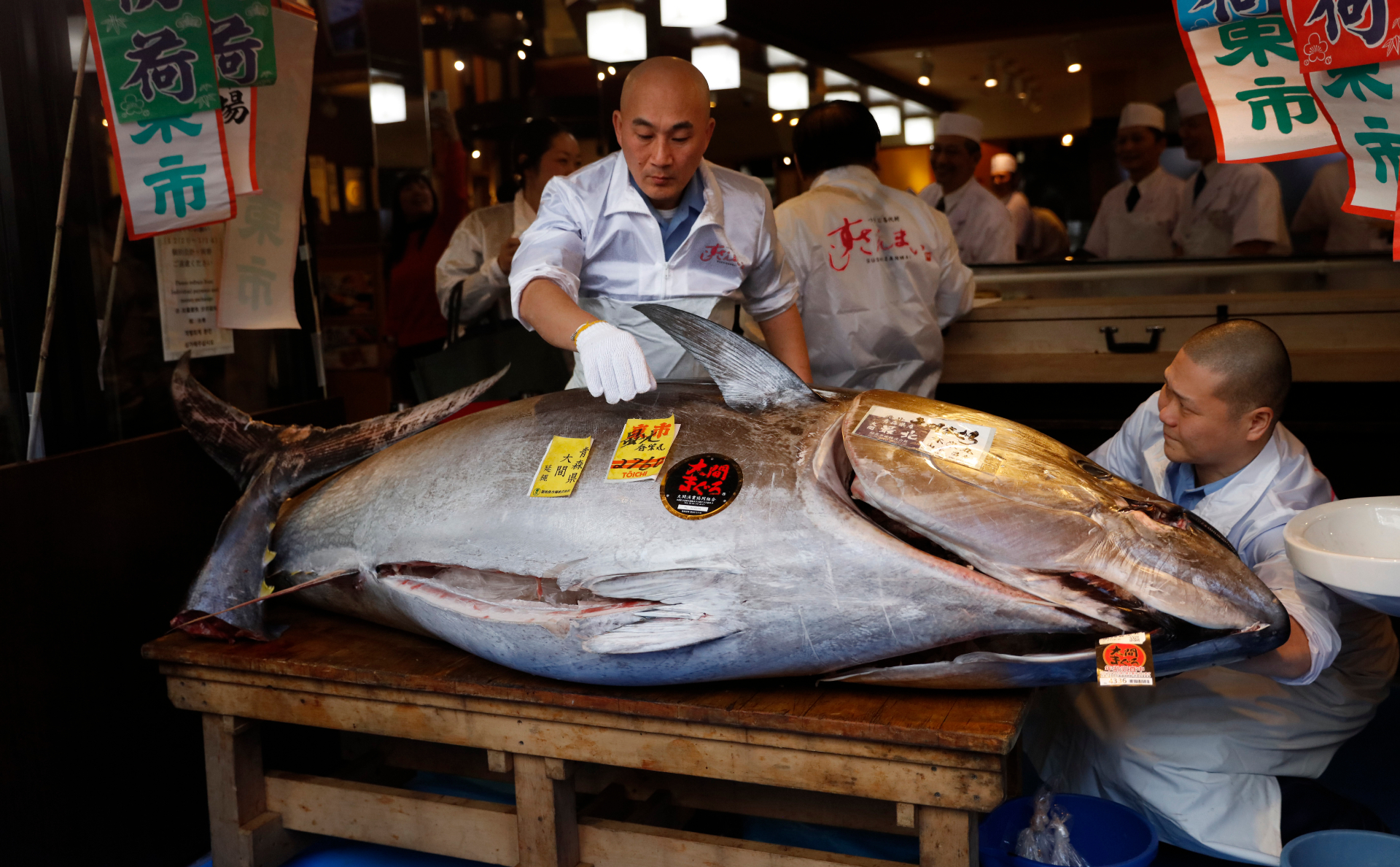 Проданный на аукционе за $1,8 млн голубой тунец