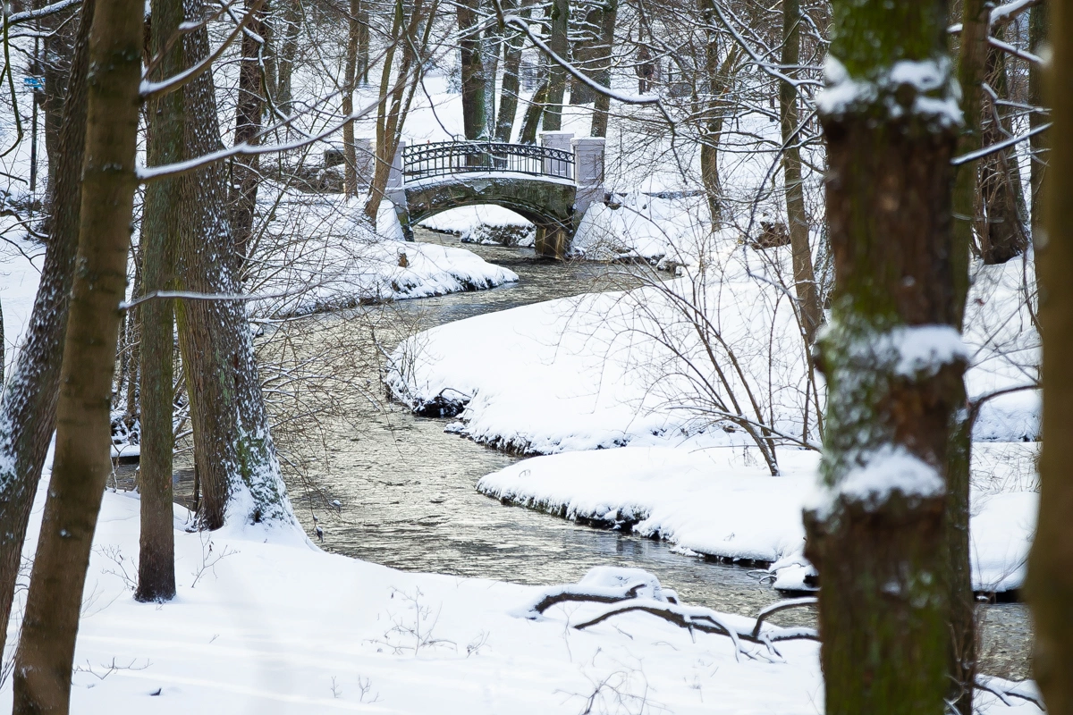 Александр Подгорчук