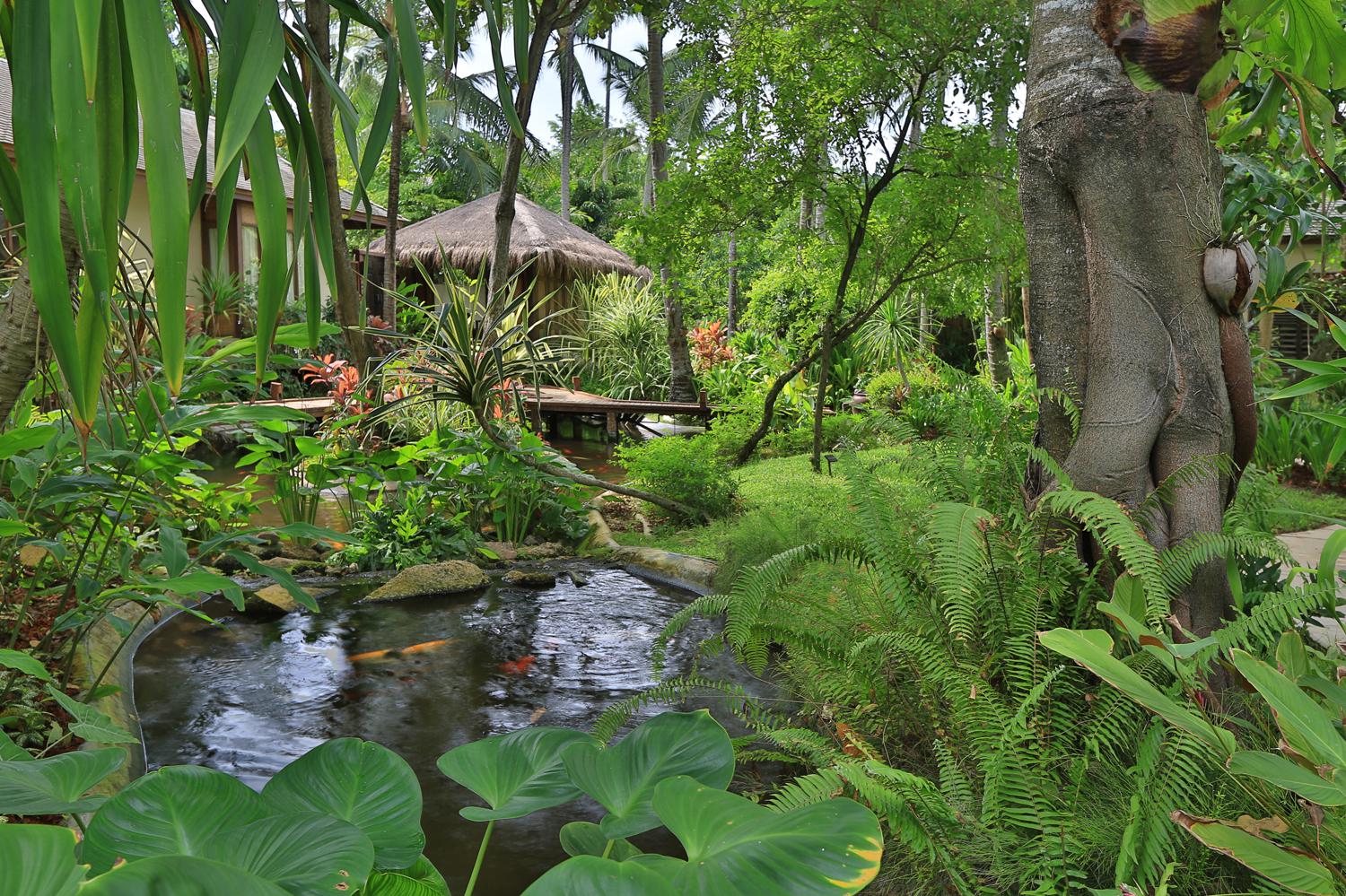 Сад на территории Anantara Rasananda Koh Phangan Villas