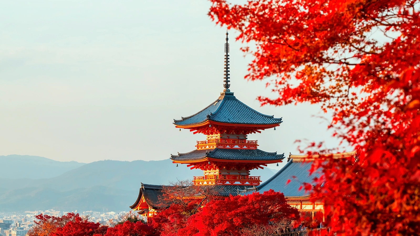 Эксперт объяснил огромные очереди в Москве за визами в Японию