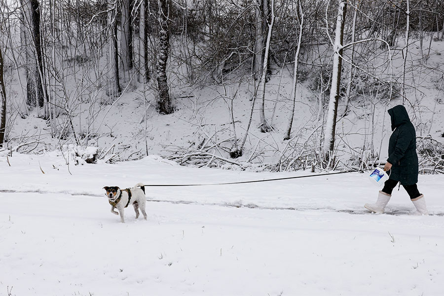 Владимир Гердо / ТАСС