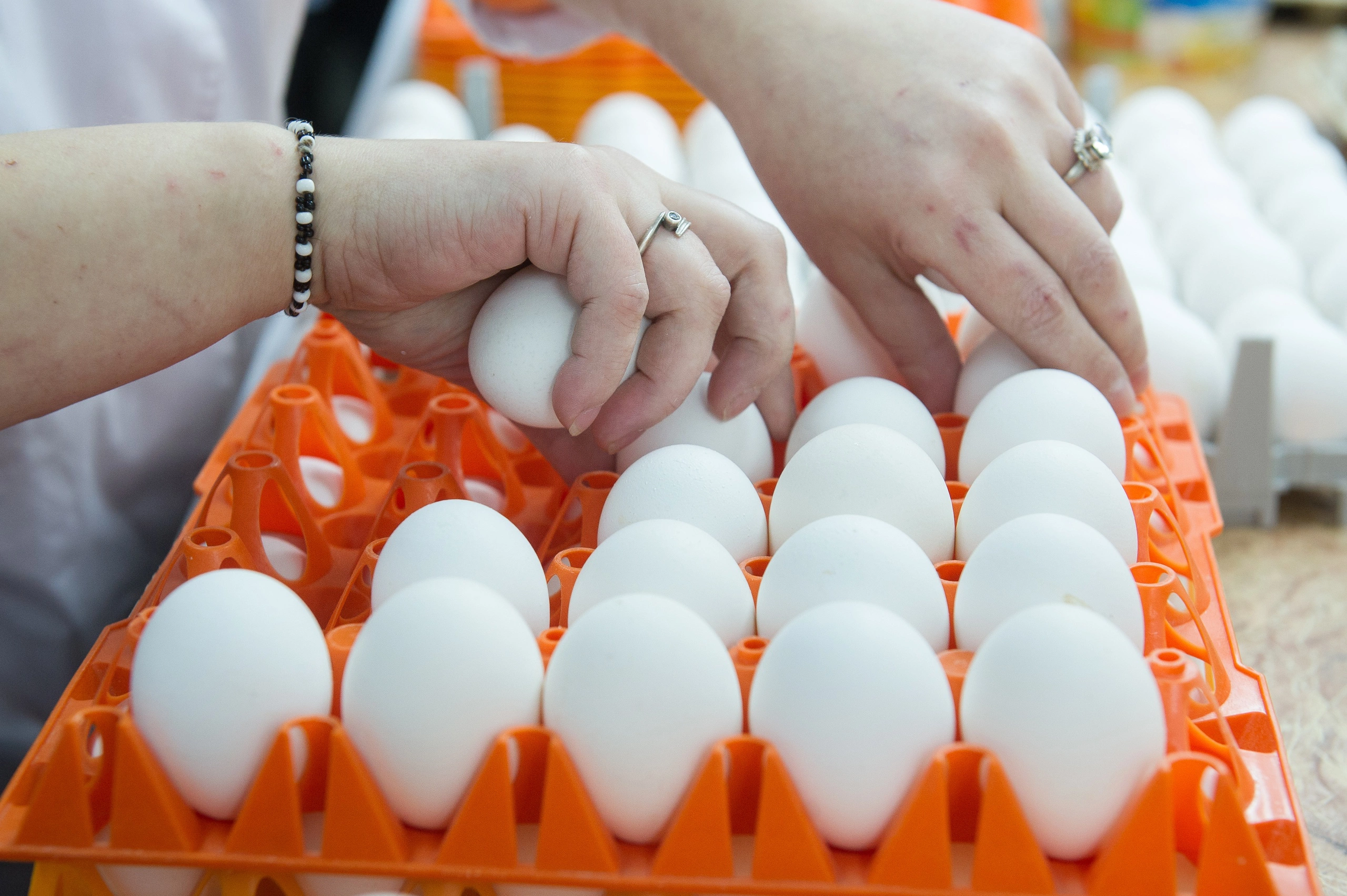 Владимир Жабриков / РИА URA.RU