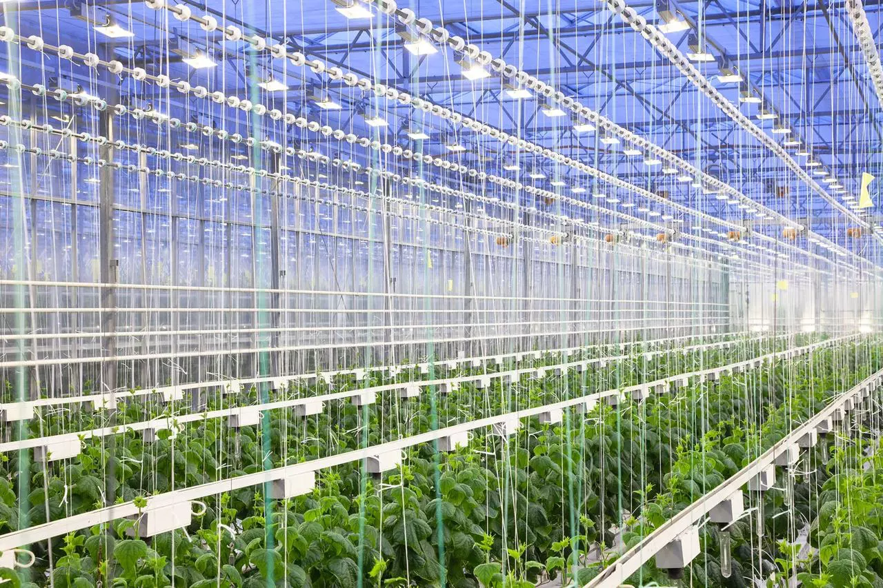 Департамент информполитики Свердловской области