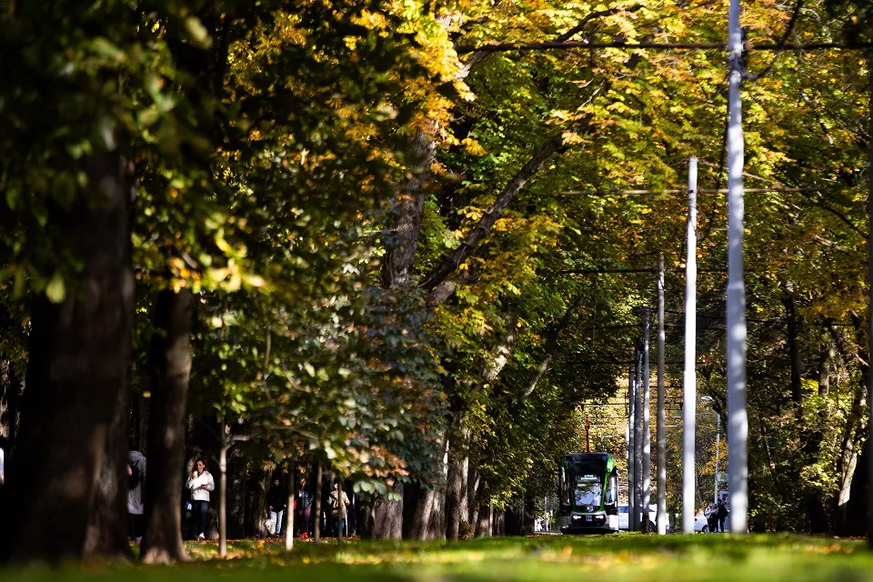 Александр Подгорчук