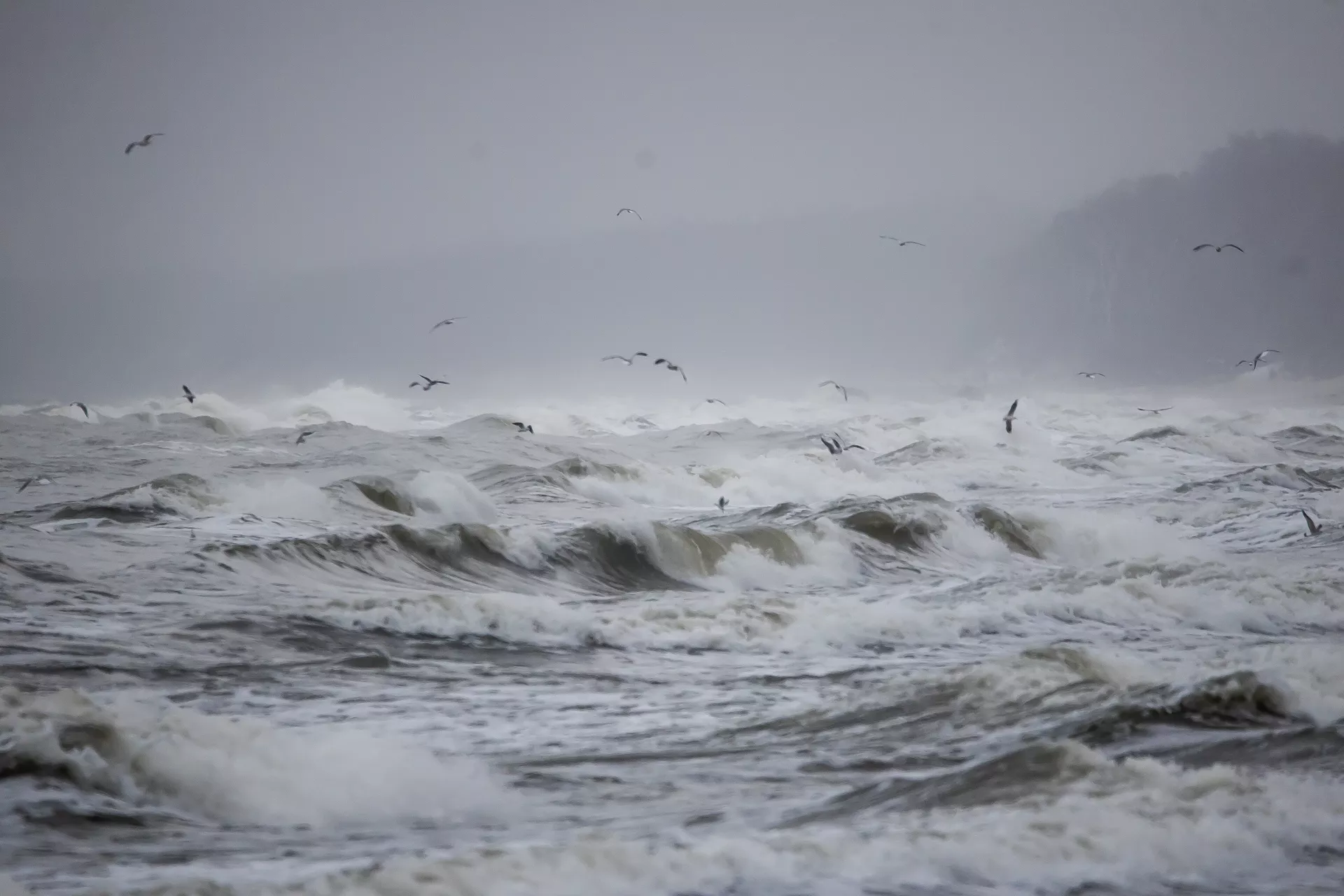 Александр Подгорчук