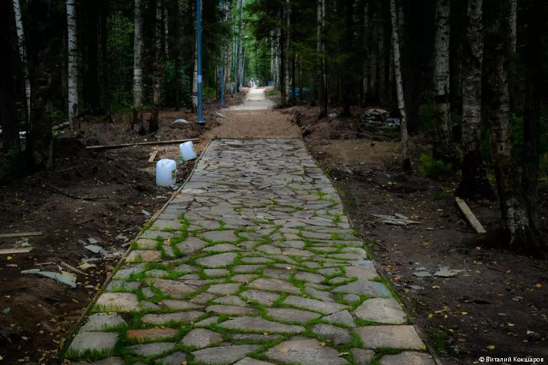 Виталий Кокшаров