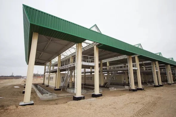 Александр Подгорчук