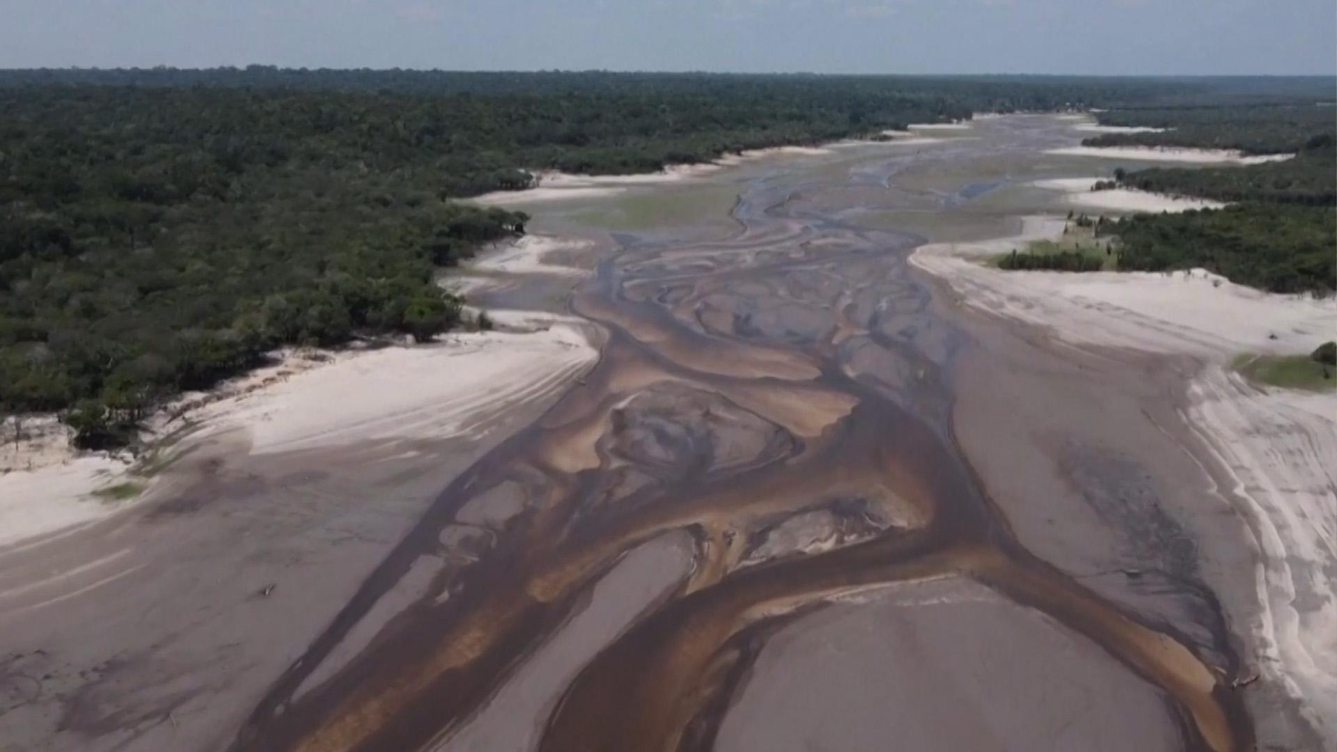 Приток Амазонки стал высыхать из-за Эль-Ниньо. Видео