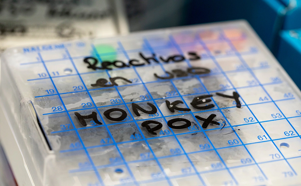 Blazquez Dominguez / Getty Images