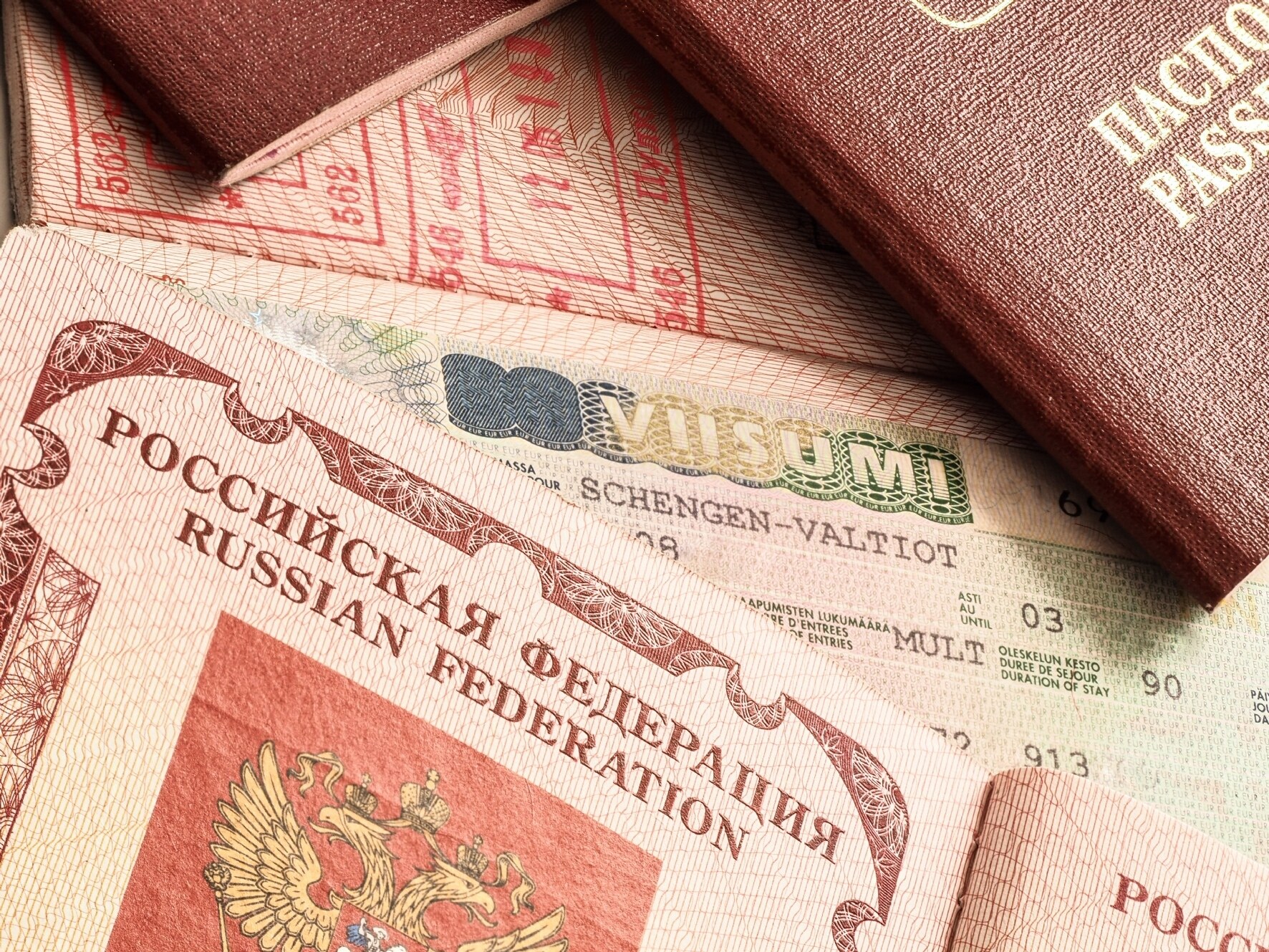 Фото: PhotoXPress.ru