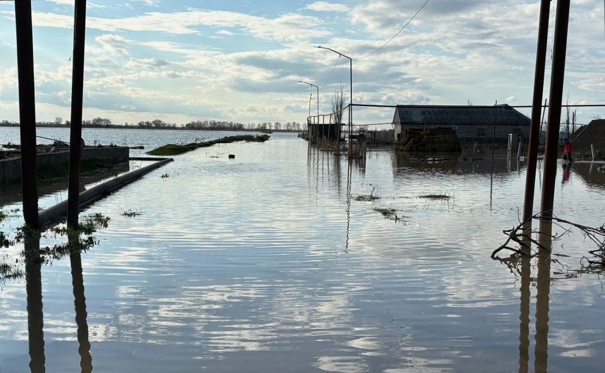 Зиявутдин Гаджиахмедов / РИА Новости