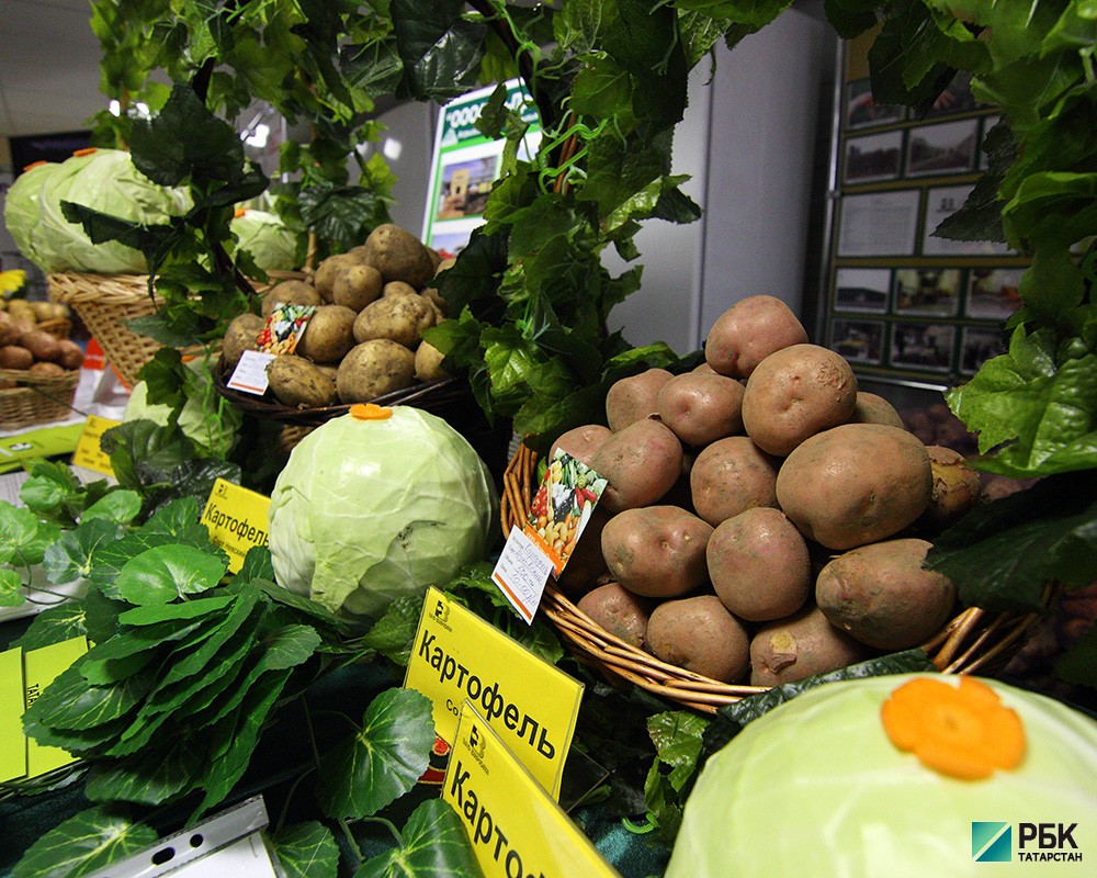 Свежий урожай: власти и ритейл заявили о снижении цен на овощи в РТ