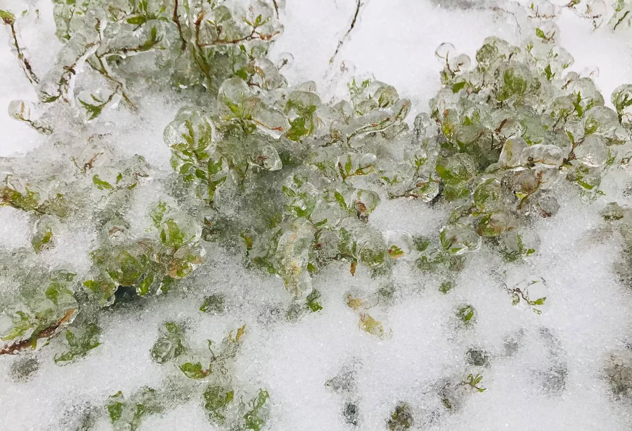 РБК Приморье