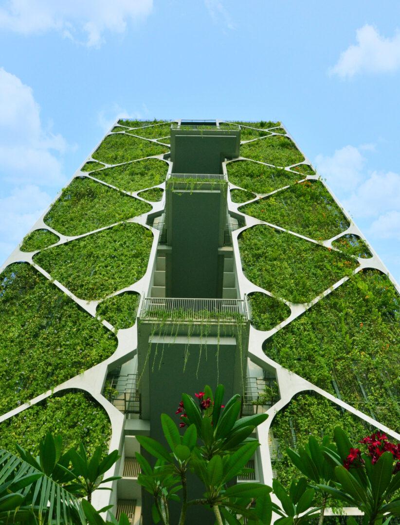 Tree House, Сингапур