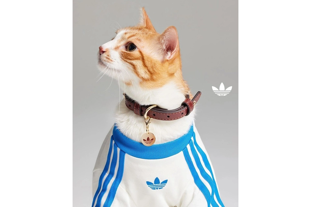 Коллекция Adidas Originals Pets была представлена в мае 2025 года