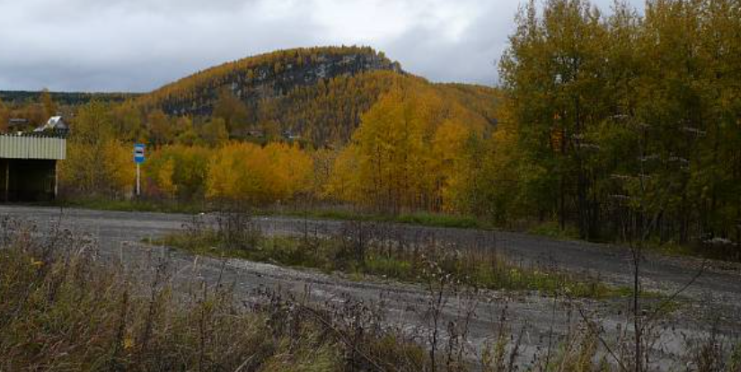 МБУК "Центральная библиотека" Губахинский МО"