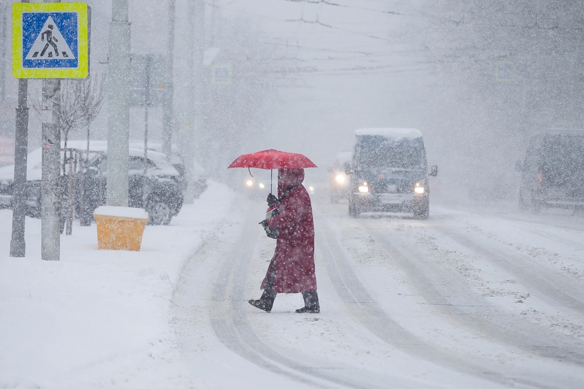 Александр Подгорчук