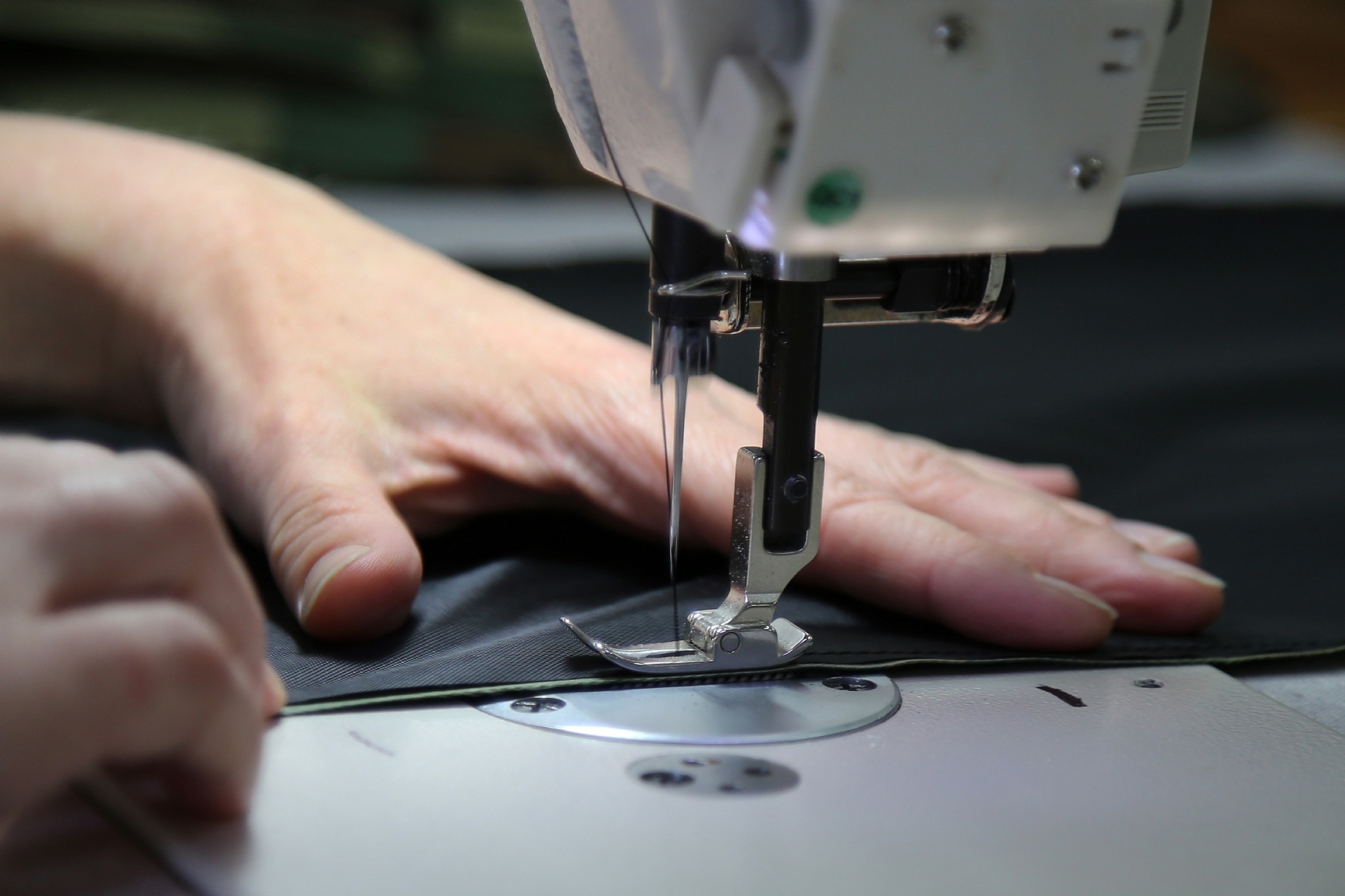 Фото: Каравашкин Павел/PhotoXPress.ru