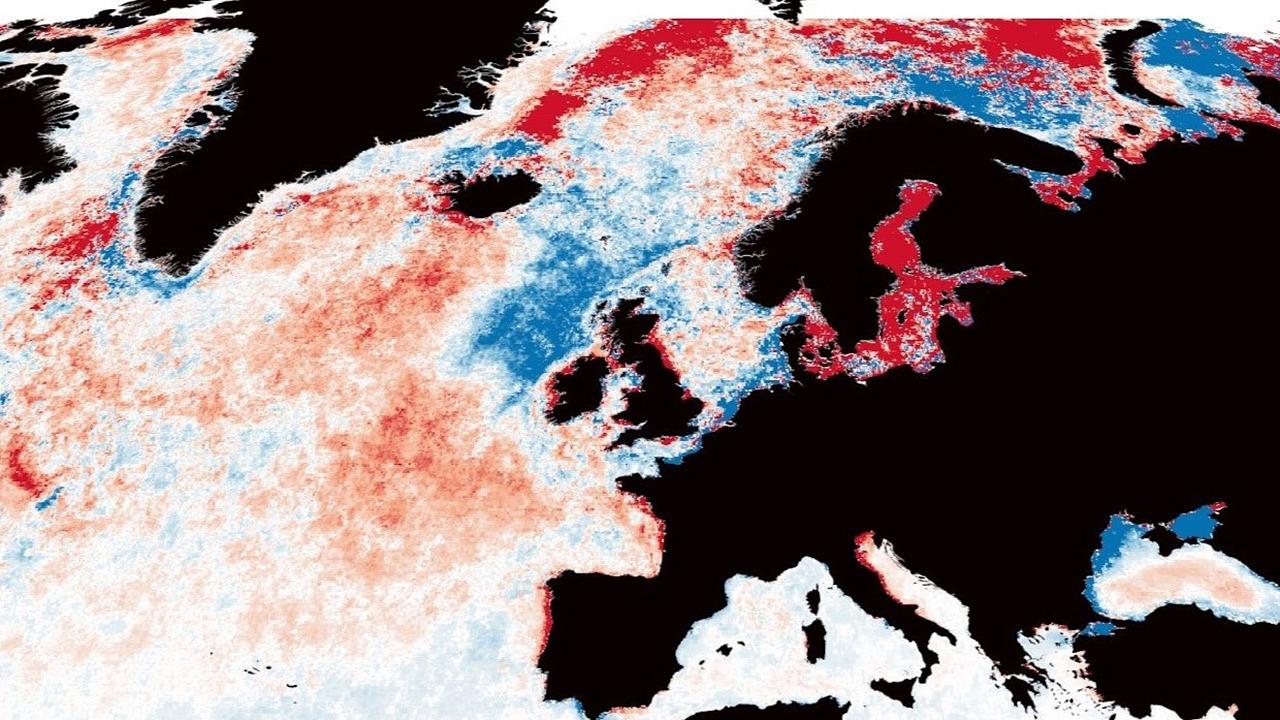 На карте красным отмечены потемневшие участки Северной Атлантики, голубым — посветлевшие