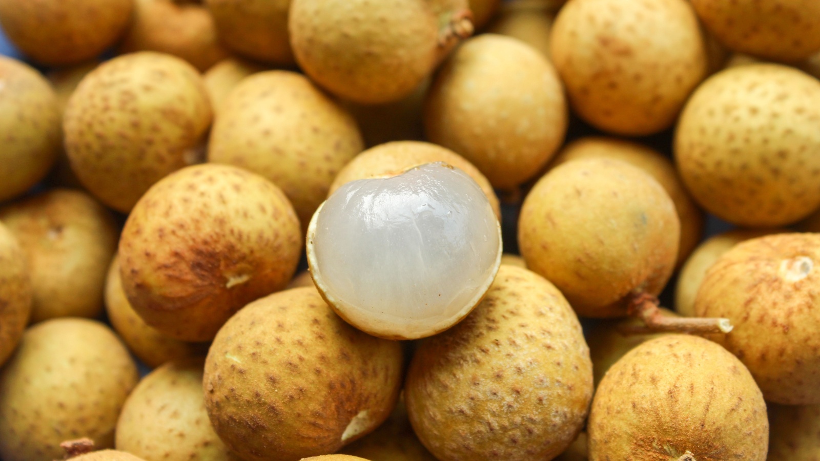 Первые упоминания о лонгане можно встретить в древнем восточном трактате «Травяная классика Шэнь Нуна»