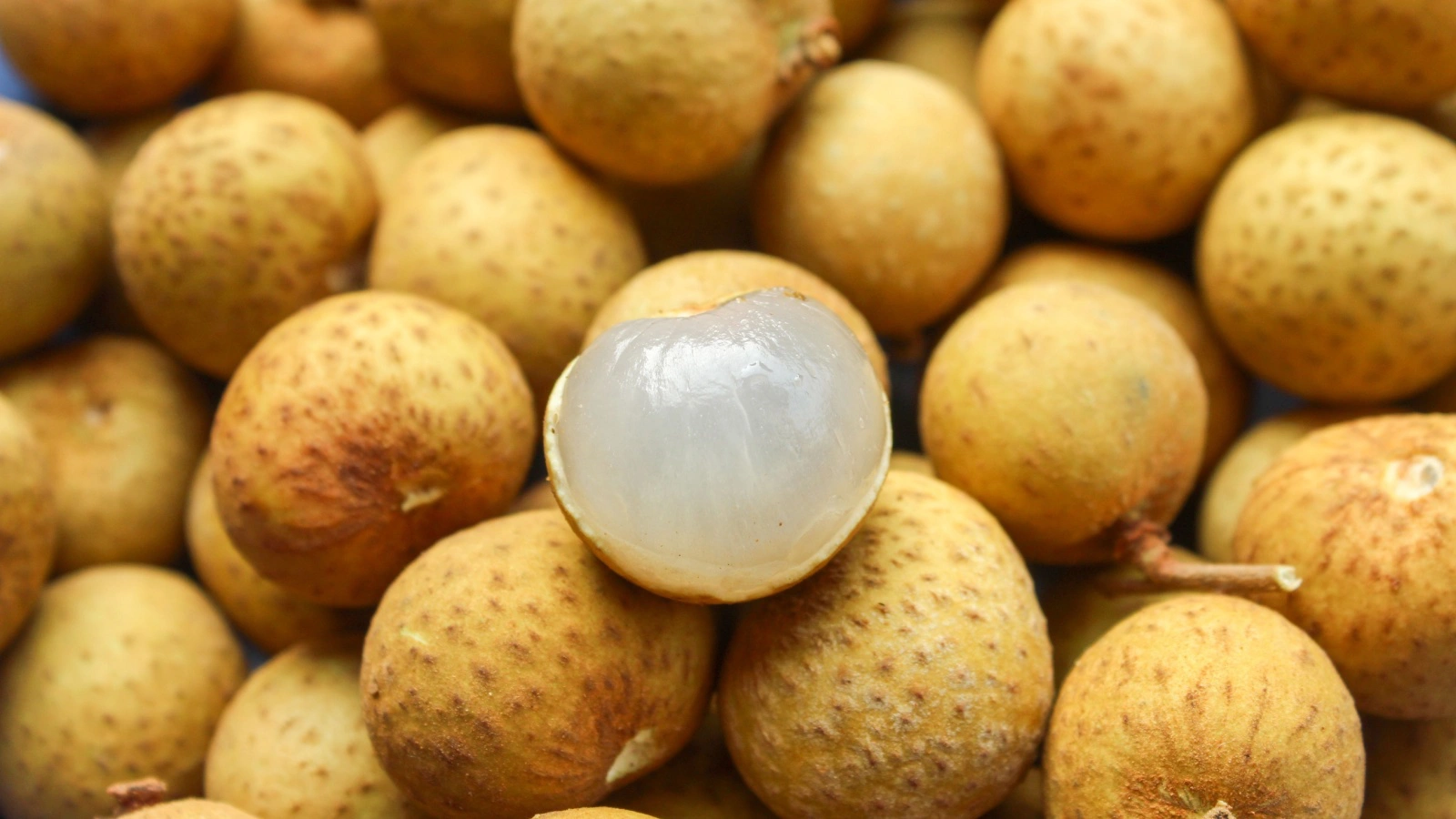 Первые упоминания о лонгане можно встретить в древнем восточном трактате «Травяная классика Шэнь Нуна»