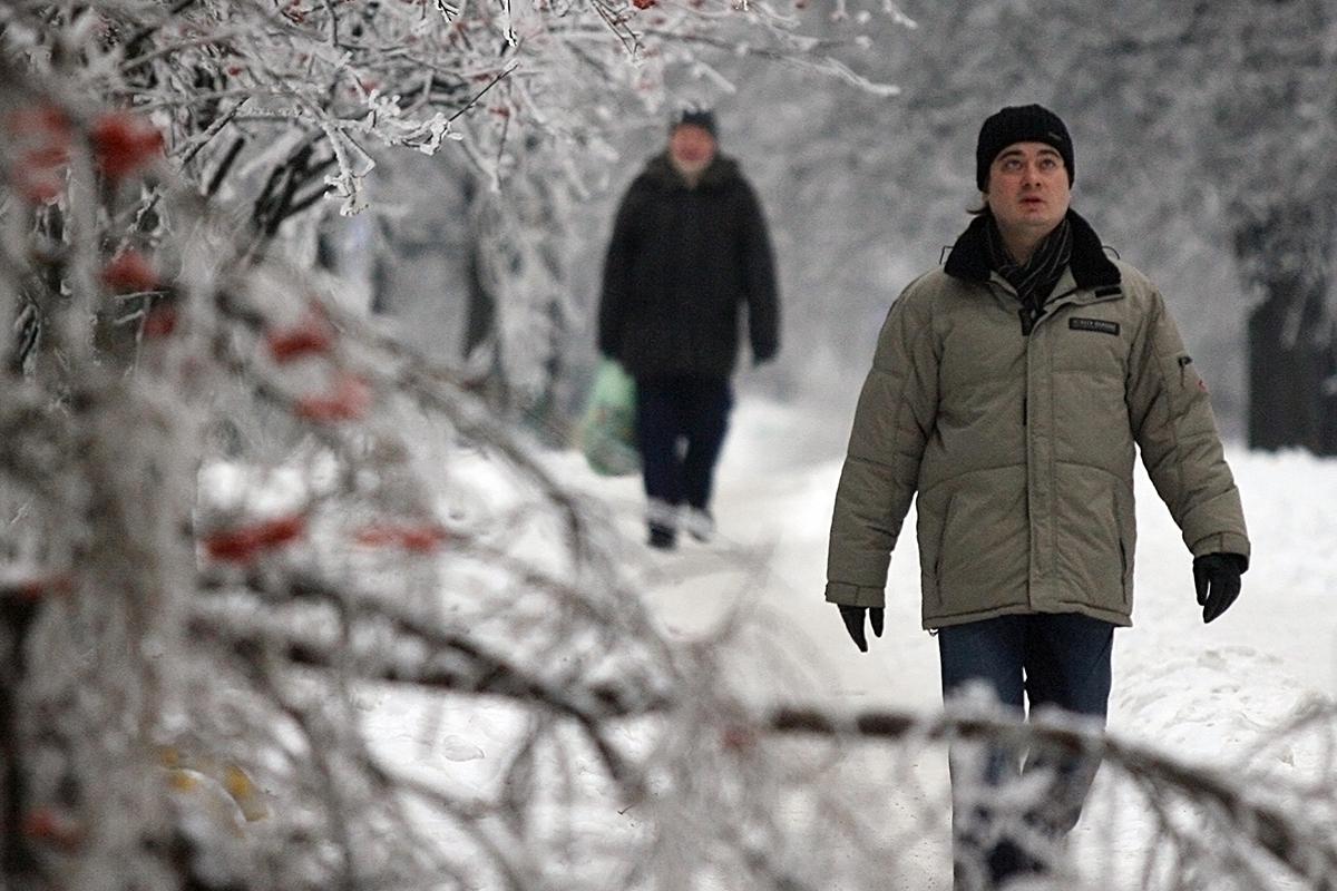 Обледенелые деревья на одной из улиц города, 27 декабря 2010 года