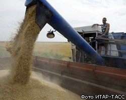 Минсельхоз: Запрет на экспорт зерна из РФ может быть продлен