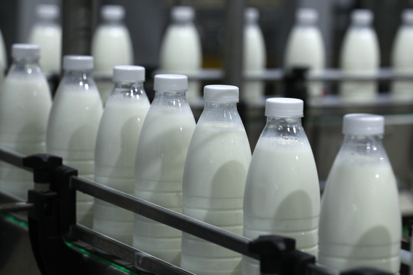 В Нижегородской области нарастили производство молочных продуктов