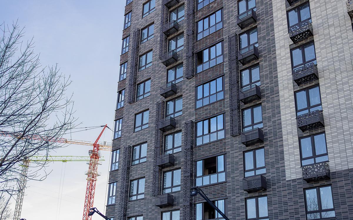 Фото: Aleksey Demin / Shutterstock / FOTODOM