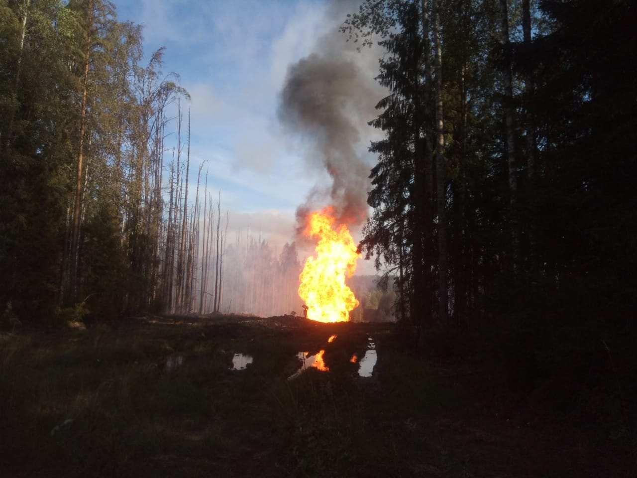  Государственный комитет Карелии по ОЖ и БН