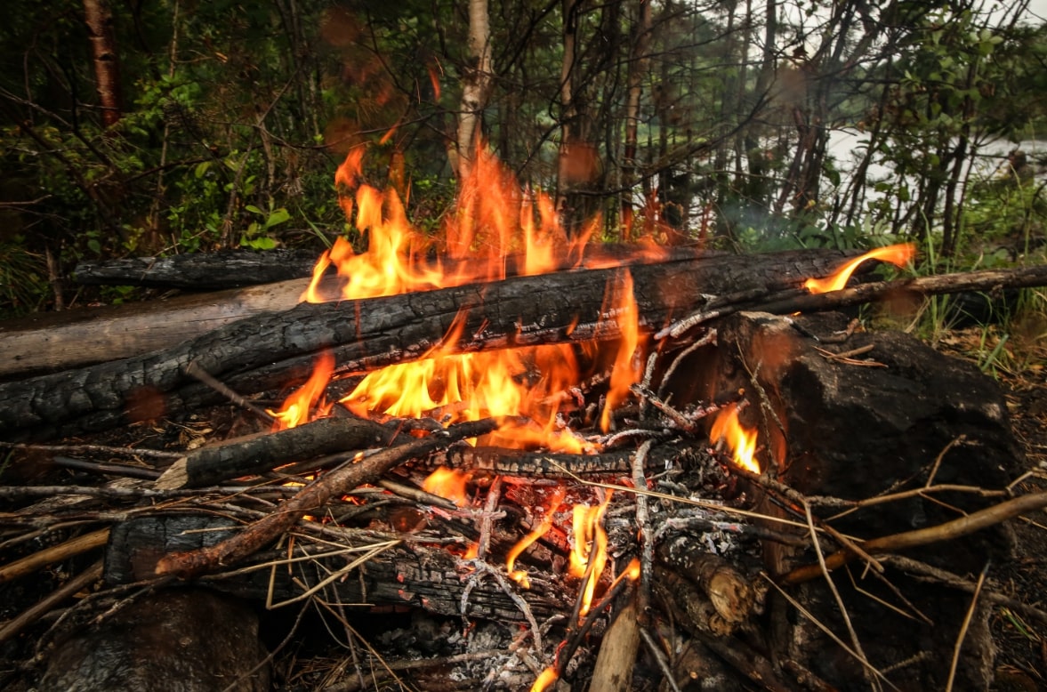 Эксперты прогнозируют пик лесных пожаров в Тюменской области в мае